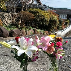 カーネーション,カーネーション,キク,キク,ユリの画像