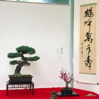 盆栽,お出かけ先の画像