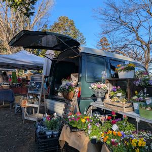 寄せ植え,ガーデニング,ナチュラルガーデン,コンテナガーデン,花のある暮らしの画像