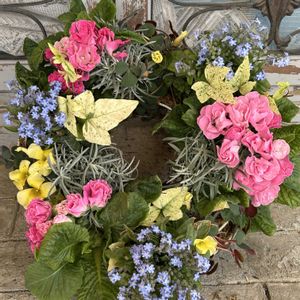 オキザリス,カレープラント,ヘデラ 白雪姫,バラ咲きジュリアン キャンディINブライド,ミオソティス モナミの画像