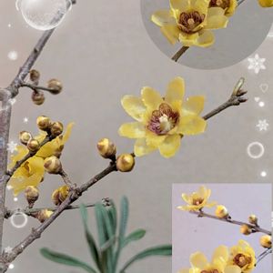 ロウバイ,切り花,可愛い〜♡,黄色,花のある暮らしの画像