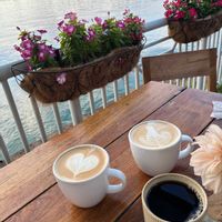 インパチェンス,インパチェンス,花のある街,花と生き物の画像