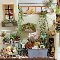 りんたろう,くーた,多肉植物,ハンドメイド,多肉箱庭の画像