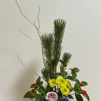 センリョウ,センリョウ,松 まつ,葉牡丹（はぼたん）,葉牡丹（はぼたん）の画像