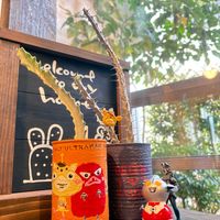 フェルニア,ユーフォルビア ホワイトゴースト,アローディア・プロセラ,フェルニア ゼブリナ錦,フェルニア　実生の画像