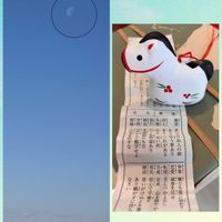 ロウバイ,大根,カブ,白菜,伊吹山「冬」の画像