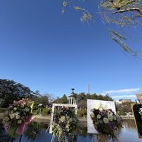 サザンカ,ドウダンツツジ,トベラ,鶴舞公園,花鳥風月の画像