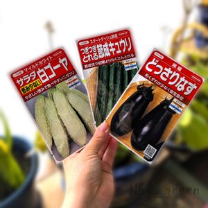 キュウリ,ナス,茄子,白ゴーヤ,ナス 黒福の画像