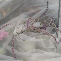 アメジストセージ,サルビアレウカンサ,メキシカンブッシュセージ ステラ,モニター,Green Snap STOREの画像