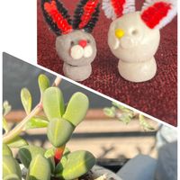 オブツーサ,碧魚連,B型,GSミニモニ。,バラと夢CLUBの画像