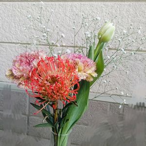 カーネーション,チューリップ,ピンクッション,かすみ草。の画像