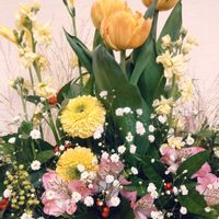 アルストロメリア,アルストロメリア,アルストロメリア,ガーベラ,ガーベラの画像