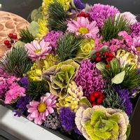 キク,スターチス,センリョウ,マツ,葉牡丹の画像