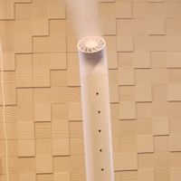 ウンベラータの画像