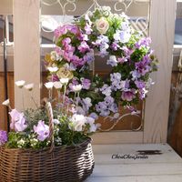 ローダンセマム,寄せ植え,DIY,ベランダガーデン,ガーデニングの画像