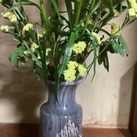 スターチスの画像