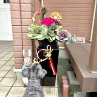 裏庭,お花遊び♪,ワンコと一緒に♡,ワンワン祭り,ほっこり〜♡の画像