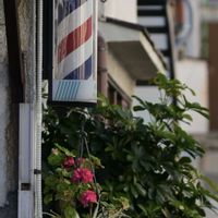 ゼラニウム,散策,街歩き,ハンギングポットの画像