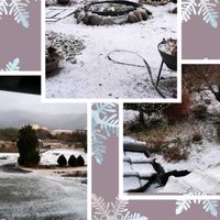 胡蝶蘭,多肉植物,エケベリア属,花のある暮らし,雪景色の画像