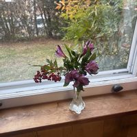 花のある暮らし,緑のある暮らし,ワンワン祭り,sasukemama倶楽部,ikebana in USAの画像