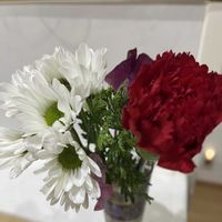 カーネーション,スプレーマムの画像