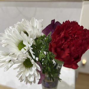 カーネーション,スプレーマムの画像