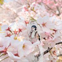 サクラ,レンゲツツジ,お散歩ちゃん,お散歩ちゃん,大人の着せ替え人形の画像