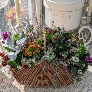 ビオラリアン,寄せ植え,ベランダガーデニング,綺麗✨✨,ブリコラージュフラワーの画像