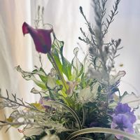 カラー,葉牡丹,エレモフィラ・ニベア,フローズン・クイーン,パンジー シエルブリエの画像