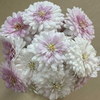 ボンザマーガレット,ボンザマーガレット サクラ,GSのみなさんに感謝♡,ありがとう♡,成人式の画像