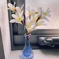 一輪挿し,キッチンの画像