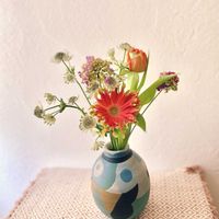 ガーベラ,スカビオサの画像