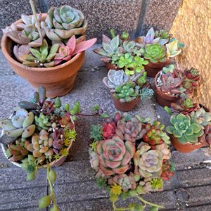 階段/廊下の画像