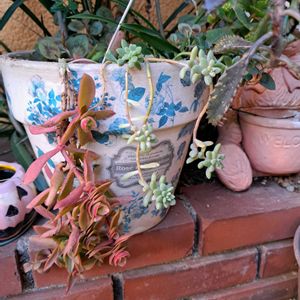 階段/廊下の画像