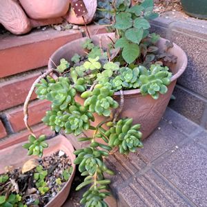 階段/廊下の画像