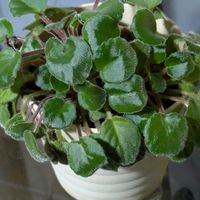 リビングの画像