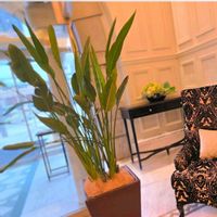 アルストロメリア,キンギョソウ,チューリップ,チューリップ,トルコキキョウの画像