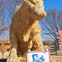 ソテツ,わらアート,ワラ,稲わら,感謝の画像