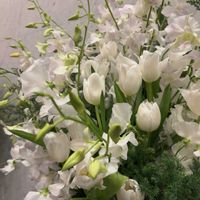 スイートピー,チューリップ,デンファレ,ピュアホワイト,白い花の画像