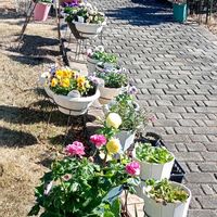 キッチンの画像