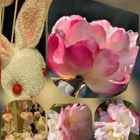 ガーベラ,キク,キンセンカ,キンセンカ,サザンカの画像