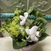 スイートピー,スイートピー,ブルースター,お花のある生活,テーブルフラワーの画像