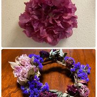 ブウゲンビリア,リース,可愛い,庭の花たち,いつもありがとう♡の画像