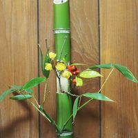 ロウバイ,赤い実,生け花,青竹,庭の花木の画像