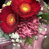 ガーベラ,チーム・ブルー,チーム岐阜,お祝いpic,❄️冬にまけるな❄️の画像