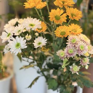 キク,移住後の生活,キッチン,リビング・ダイニングの画像