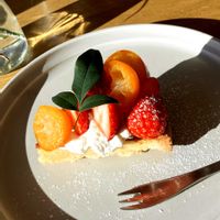 キンカン,金柑の甘露煮,寒冷地,キンカンの実の画像