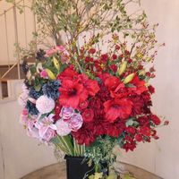 ツバキ,ツバキ,椿の花,ぜんざい,ぜんざいの画像