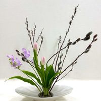 スイートピー,チューリップ,ドラセナ,ネコヤナギ,生け花の画像