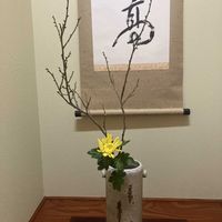 野草生け花クラブ
　　樹里,和室の画像